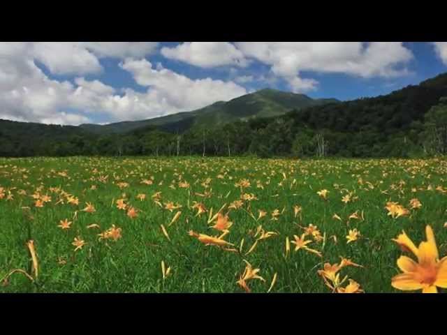 Summer Memories Lyrics by Shoko Ema / Music by Yoshinao Nakada
