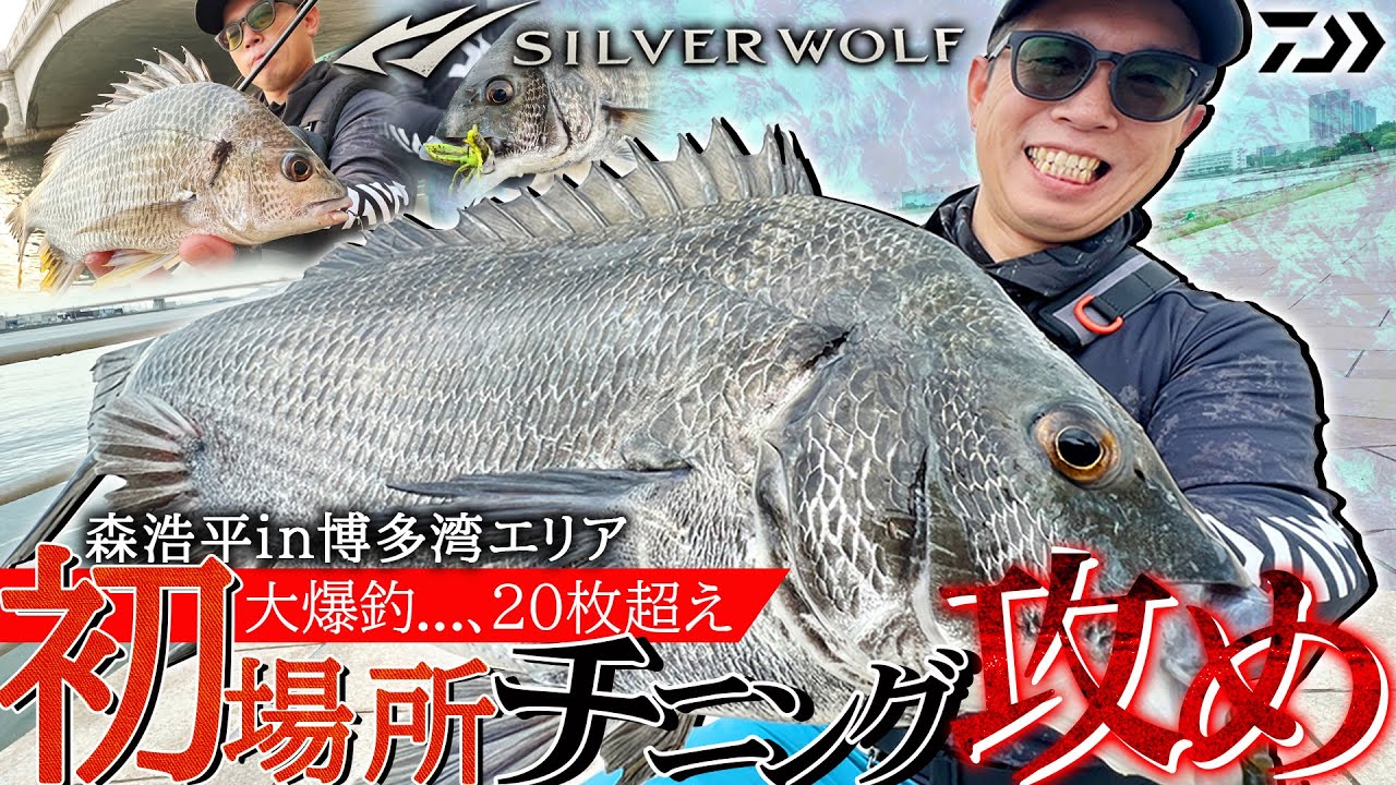 【大爆釣】20枚越え！“初場所チニング攻め”/もりぞー（森浩平）in博多湾エリア