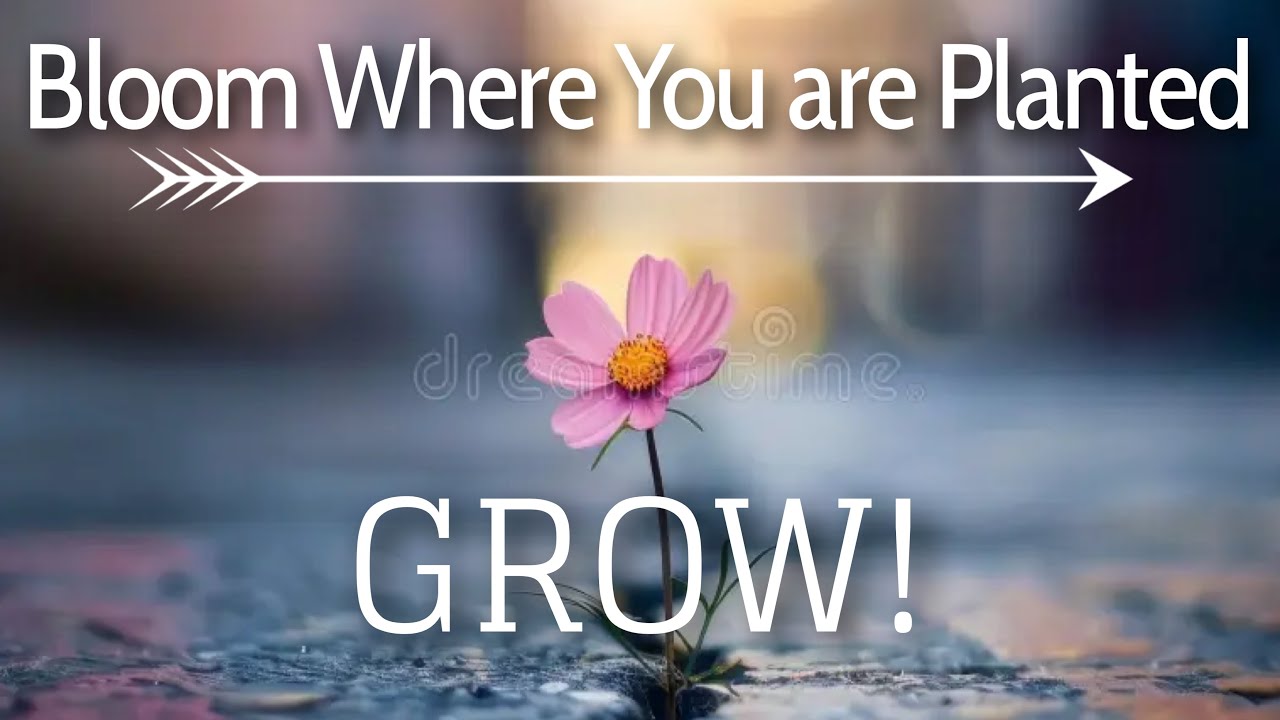 Bloom Where You are Planted: GROW!