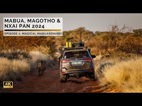 Mabua, Magotho & Nxai Pan | Magical Mabuasehube | Episode 1