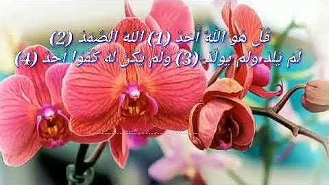 سورة الإخلاص (حالة واتس)