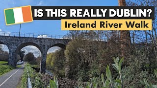 Walking Along Dublin's Other Famous River - Waterfalls, Old Bridges and A Rhino