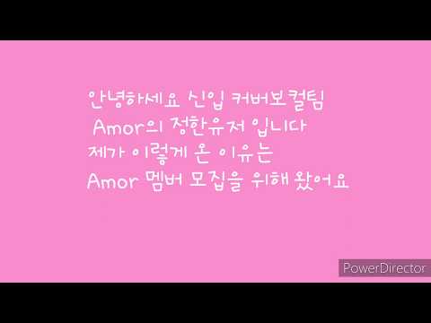세븐틴 커버보컬팀 Amor 모집(마감)