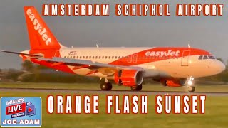 Amsterdam Schiphol Airport Live