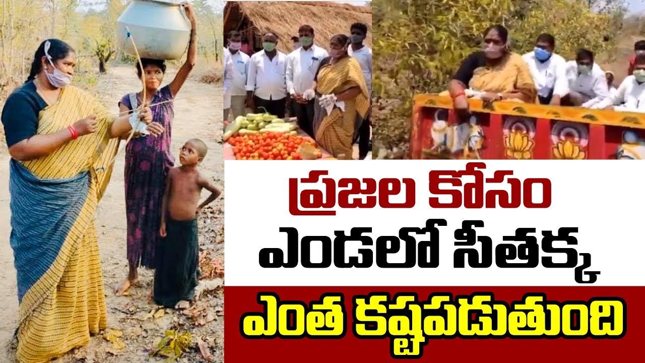 Mulugu Seethakka  Latest Video | MLA Seethakka | TS Congress | Telangana Tv