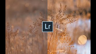 FREE Lightroom Preset | Riverbank Landscape Preset - Presetpro