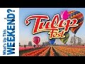 Wooden Shoe Tulip Festival - Oregon Wooden Shoe Tulip Festival - Oregon