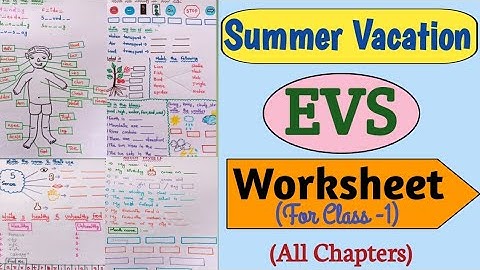 Summer Vacation EVS Worksheet For Class-1| Holiday Homework For Class-1| #evs #evsworksheet #class1