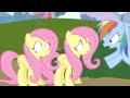 When two fluttershys collide animation