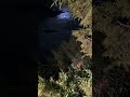 وجهك مقابله لطف في محله وجهك مقابله لطف في محله