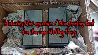 Unboxing Mini aquarium Mini shooting tank dan ikan laga Hellboy Fancy