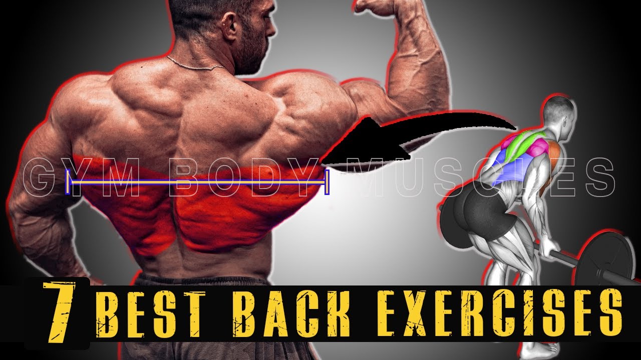 7 Perfect Exercises for a WIDER BACK YouTube