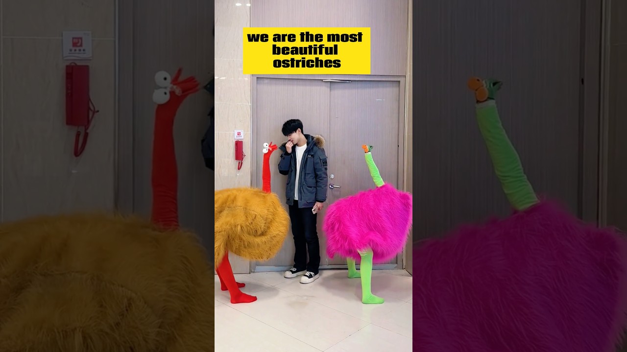 Dress up as an ostrich to help a friend overcome social anxiety!