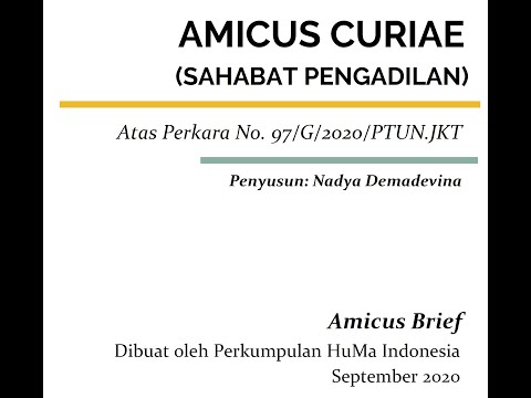 Amicus Brief HuMa 2020