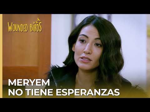 Meryem no tiene