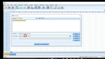 How to import Likert scale questionnaire into SPSS