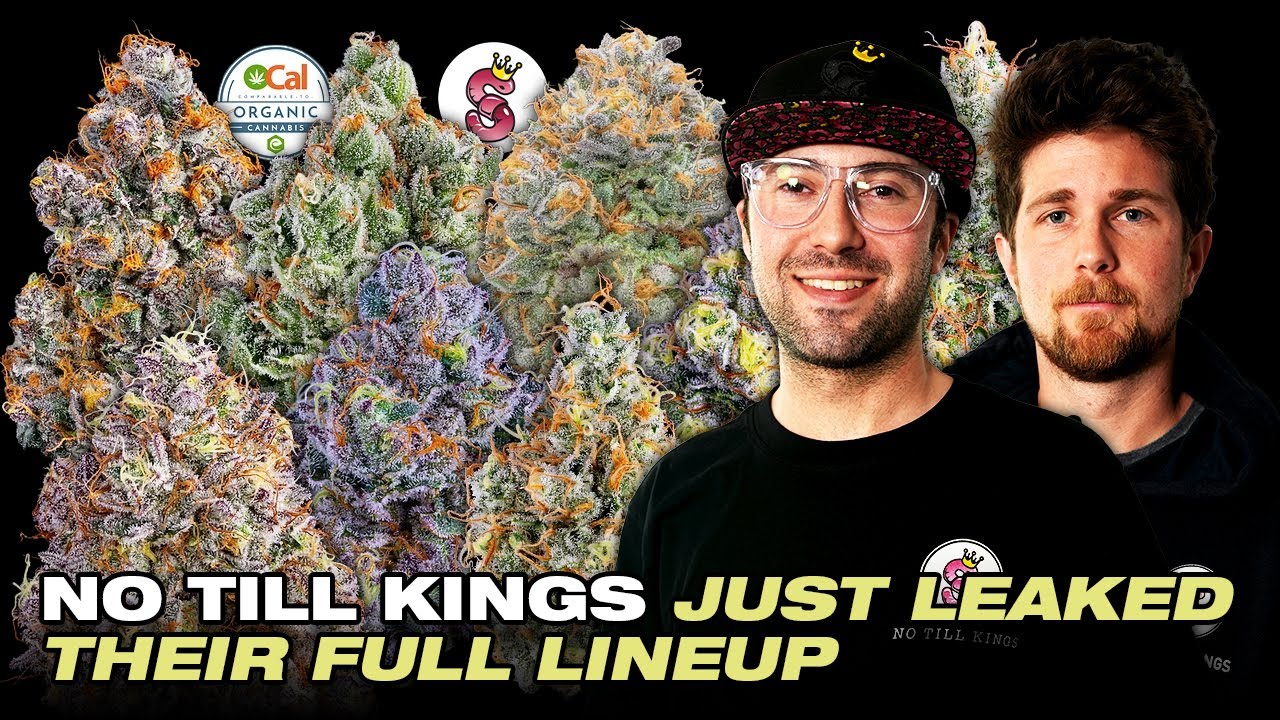 Behind the Strains Jealousy, Laser Fuel, and the Real Zkittlez Cut - No Till Kings