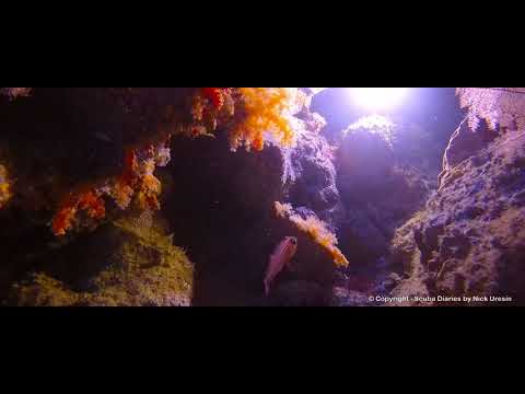 Dive 12 –