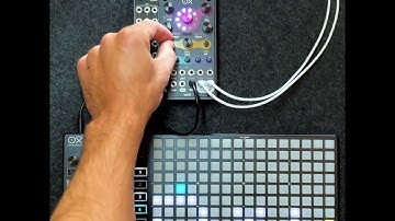 CORAL & OXI JAM - Multipart with samples and synth engines