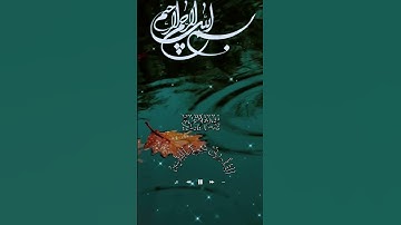 قرآن كريم ألم نشرح لك صدرك #سورة_الشرح #القارئ_محمد_الفقيه #القرآن_الكريم #المقام_الصنعاني