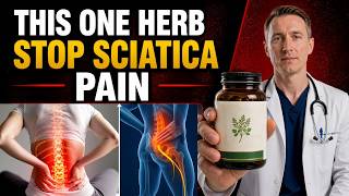 One Herb Stops Sciatica Pain Faster Than Anything You Have Ever Tried