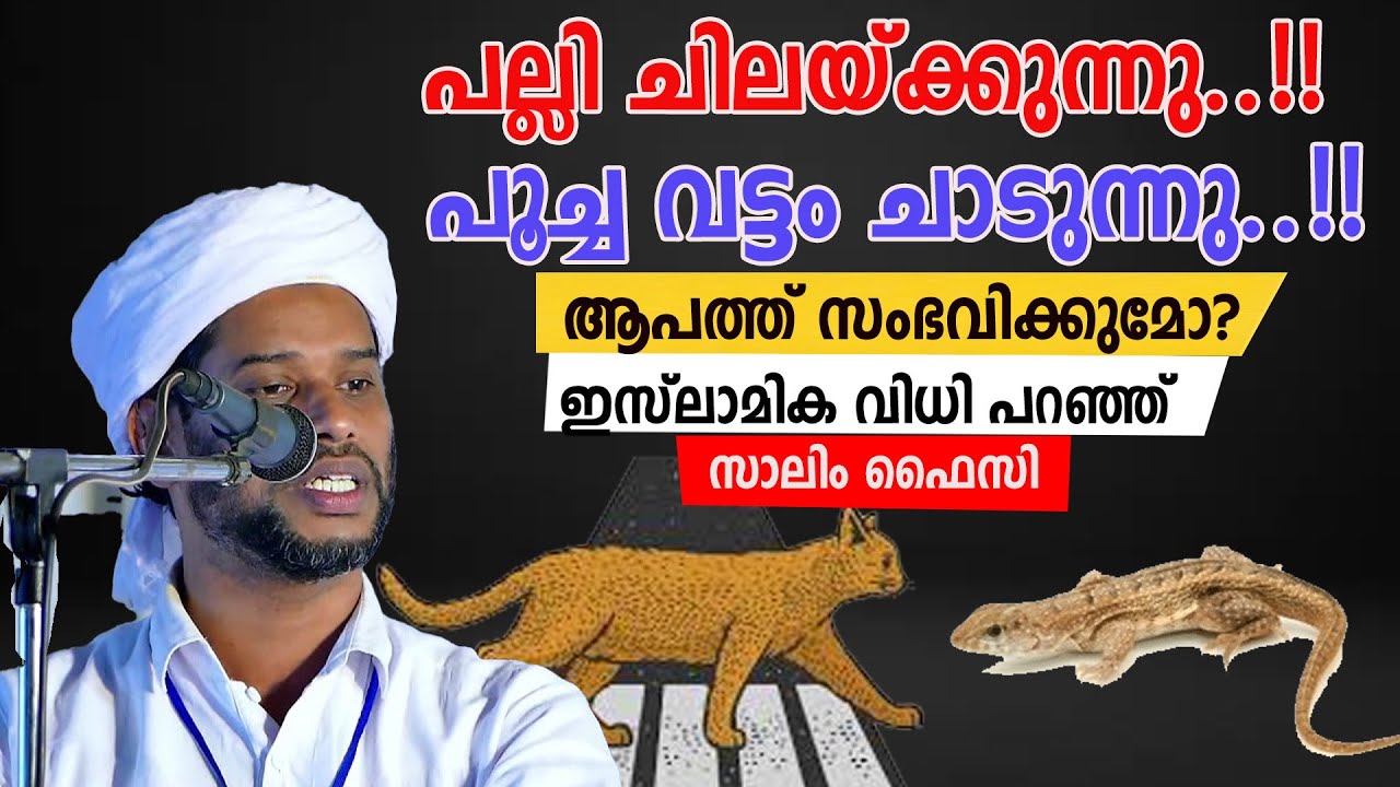 പല്ലി ചിലയ്ക്കുന്നു പൂച്ച വട്ടം ചാടുന്നു..!!ആപത്ത് സംഭവിക്കുമോ?ഇസ്ലാമിക വിധി പറഞ്ഞ് സാലിം ഫൈസി