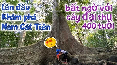 Vivu #27: Lần đầu đến rừng Nam Cát Tiên, bất ngờ với cây Tung cổ thụ 400 tuổi.