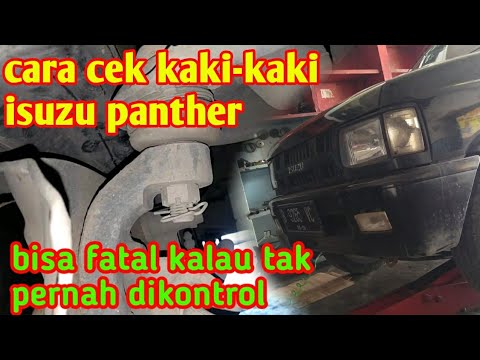 Video: Apa Penyebab Abses pada Anjing?