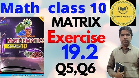 Exercise 19.2 class 10 math Q5 Q6 | matrix | Class X Sindh Board | indus maths.