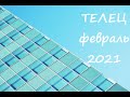 Гороскоп на Февраль 2021 ТЕЛЕЦ / План-прогноз Tais Star