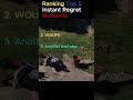 Follow for part 2! #fail #top5 #instantregretcompilation #instantregret
