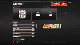 Black Ops 2 Final Combat Record