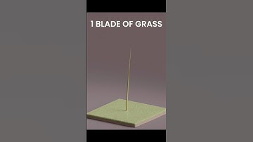 1 Blade of grass- 10000 grass #shorts