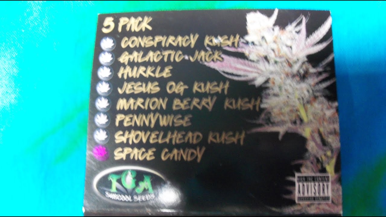 Free The Bean Space Candy by TGA Subcool Seeds