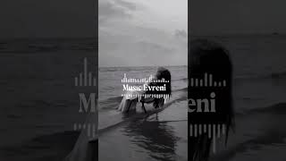 musıc evreni / Avuçlarımda solgun bir resmin (Official Video)