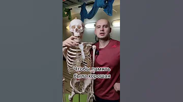 Как улучшить память!?