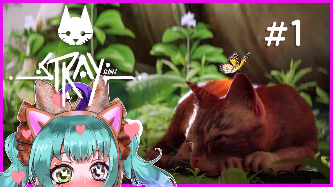 I'm a cat!!! - Stray #1 - YouTube