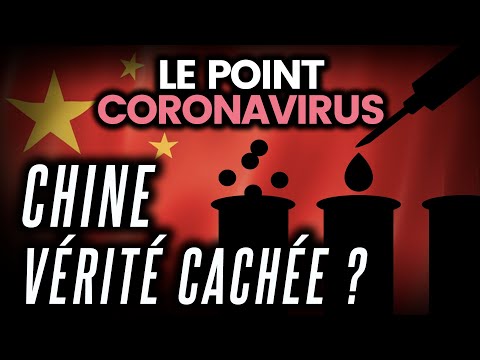 Emmanuel Macron accuse la Chine, virus en labo, chute de pollution, Brésil... Le point coronavirus Emmanuel Macron accuse la Chine, virus en labo, chute de pollution, Brésil... Le point coronavirus