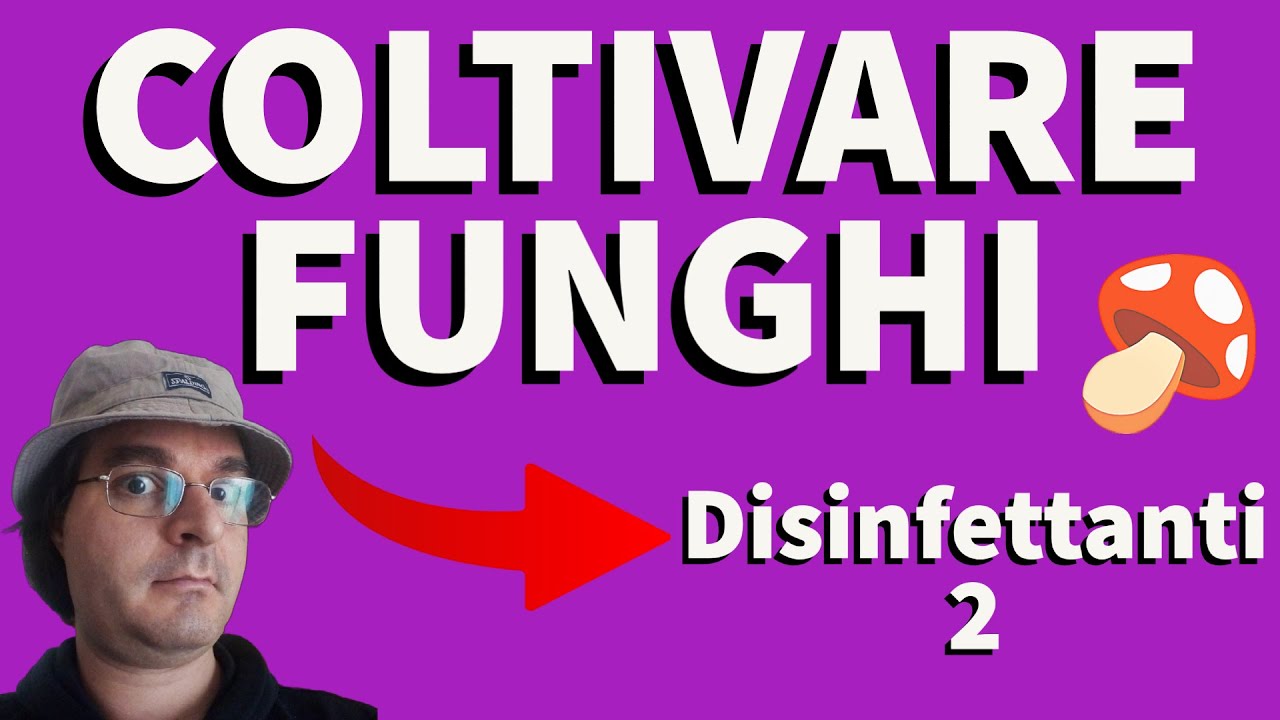 COLTIVARE FUNGHI 🍄 Disinfettanti 2 Sali di Ammonio Quaternario YouTube COLTIVARE FUNGHI 🍄 Disinfettanti 2 Sali di Ammonio Quaternario YouTube