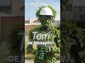 Quién es TERRI?