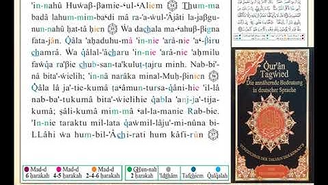 ختمة من مصحف التجويد باللغة الألمانية الصفحة رقم 239