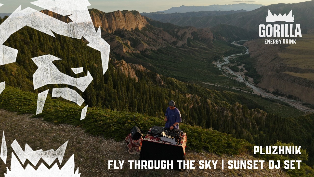 PLUZHNIK — Fly Through the Sky | Sunset DJ Set