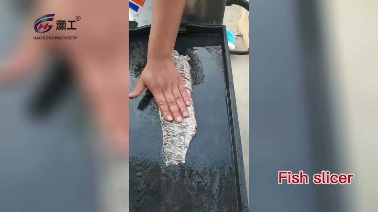 Fish slicer