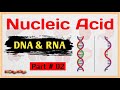 Nucleic Acid Part 2 | DNA and RNA Structure & Functions Explained | EasyMedEdHub