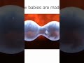 human egg fertilization #short#