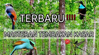 MASTERAN TEMBAKAN KASAR DURASI BUEH‼️ SUARA JERNIH 👍JOSSS