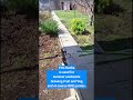 The Dacha Getting Ready For The Summer Dacha Saratov Garden The Dacha Getting Ready For The Summer Dacha Saratov Garden