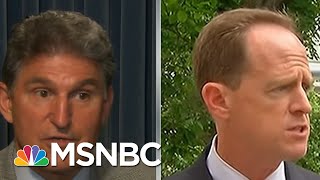 How Manchin & A Broken Senate Squandered U.S. Will For Gun Reform After Sandy Hook | Rachel Maddow