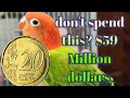 From Pocket Change to Fortune: Rare Euro Coins You Should Never Spend