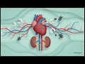 Chelation Cure or Myth